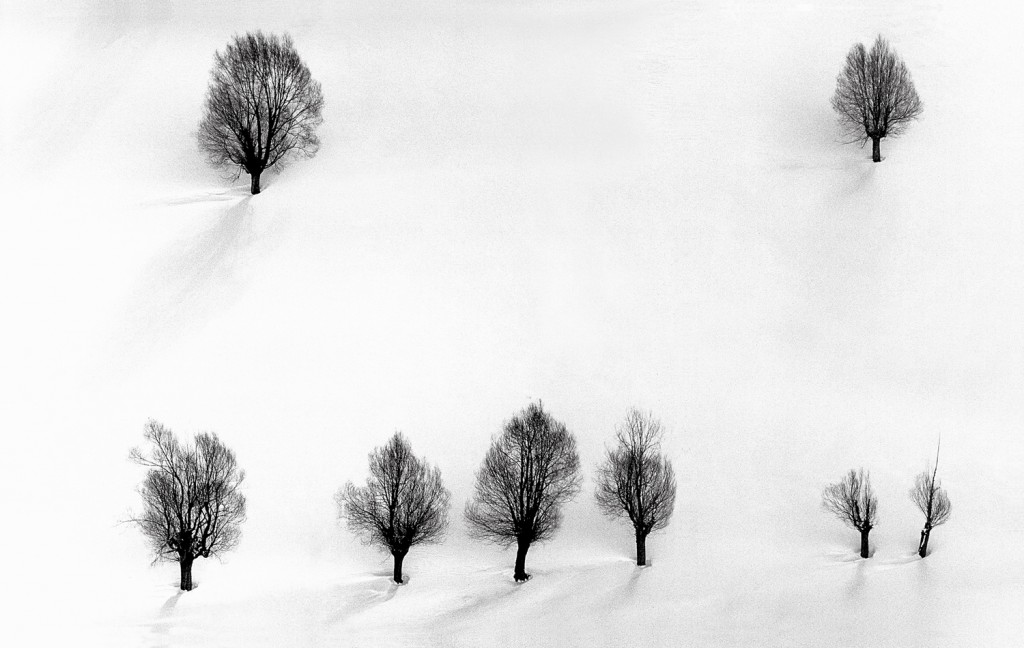 © Abbas Kiarostami